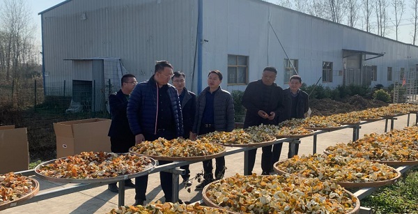 ����ʱ����(�й�)�������ǲ�!